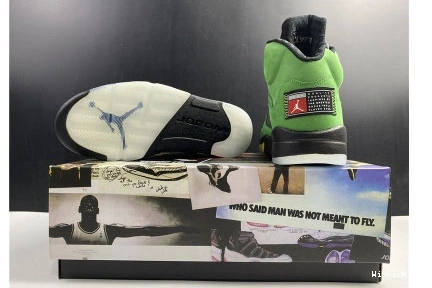 Air “Oregon” 5 Jordan 1015